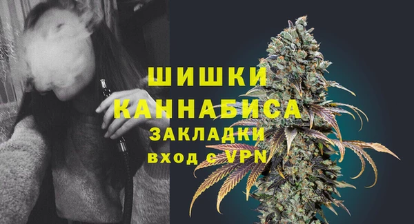 дурь Арсеньев